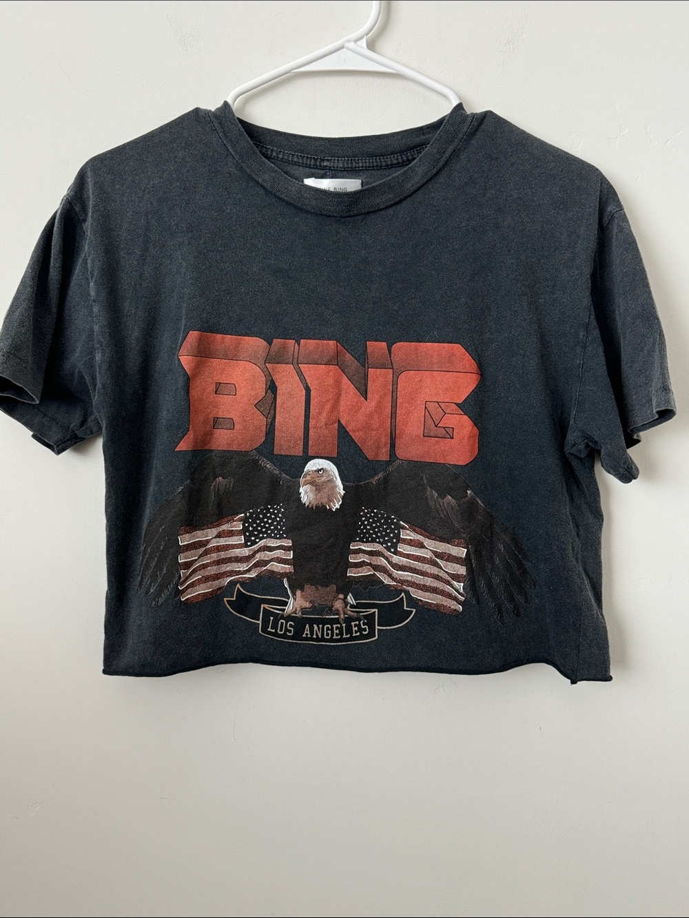 Anine Bing Eagle Cropped Tee Size: S